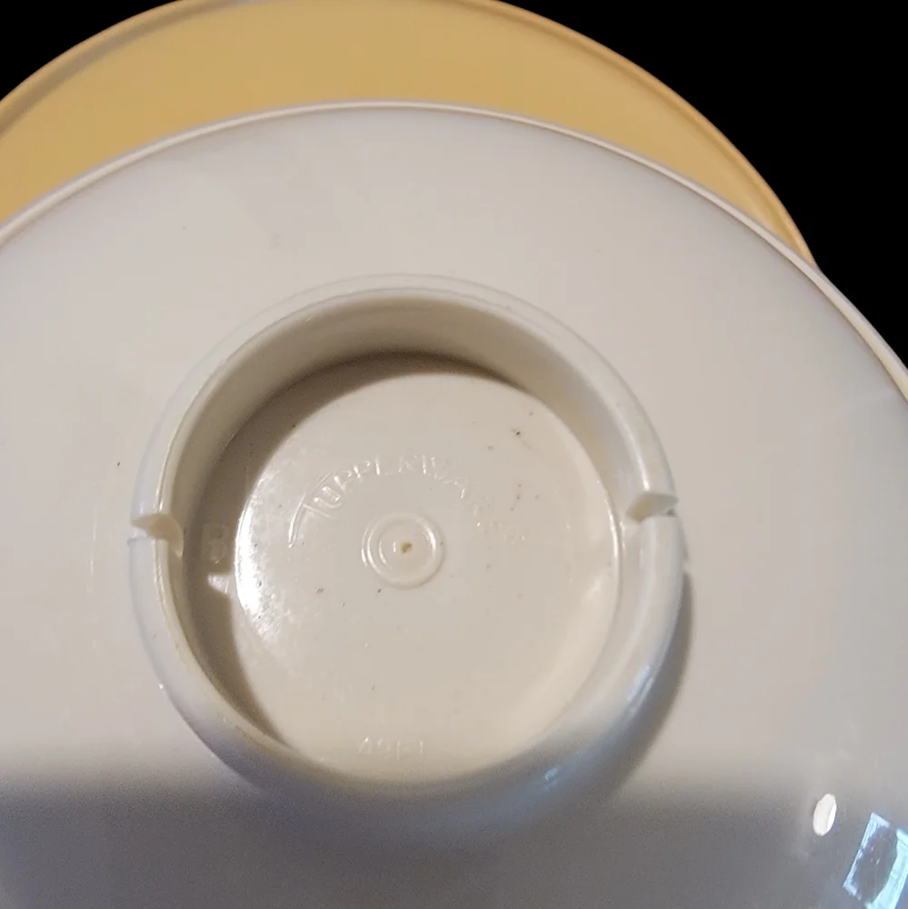 Vintage Tupperware Chip‎ N Dip Veggie N Dip Serve Platter